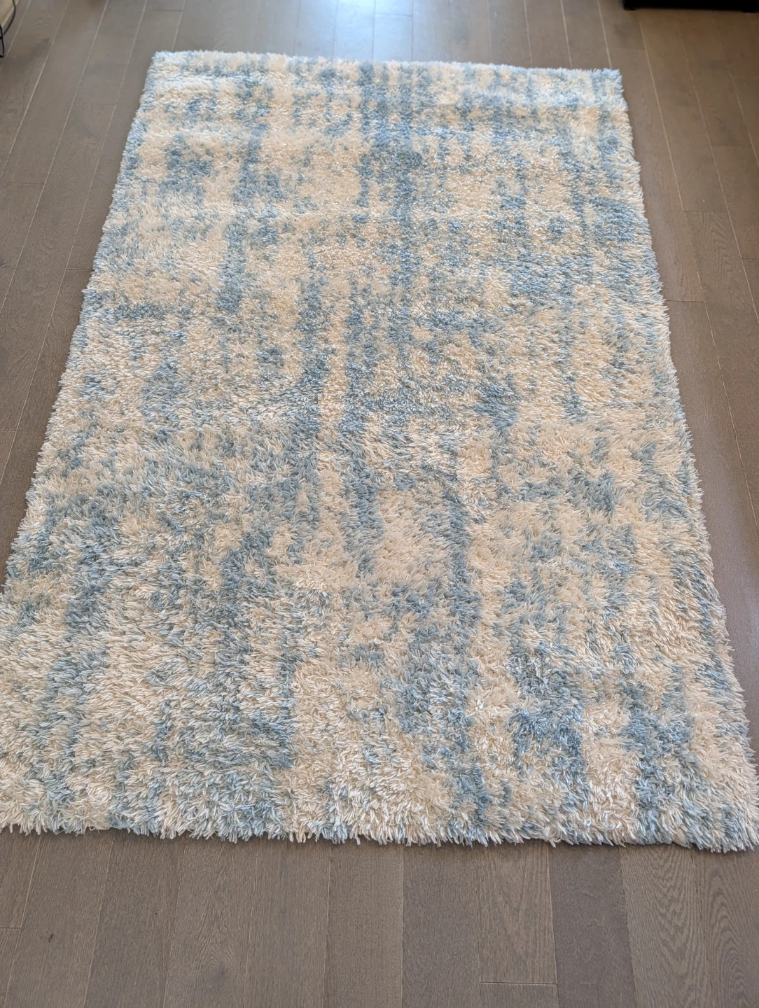 Shag Area Rug - Cream & Blue - photo 3