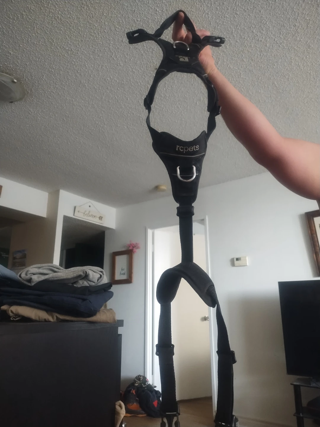RC PETS Dog Harness