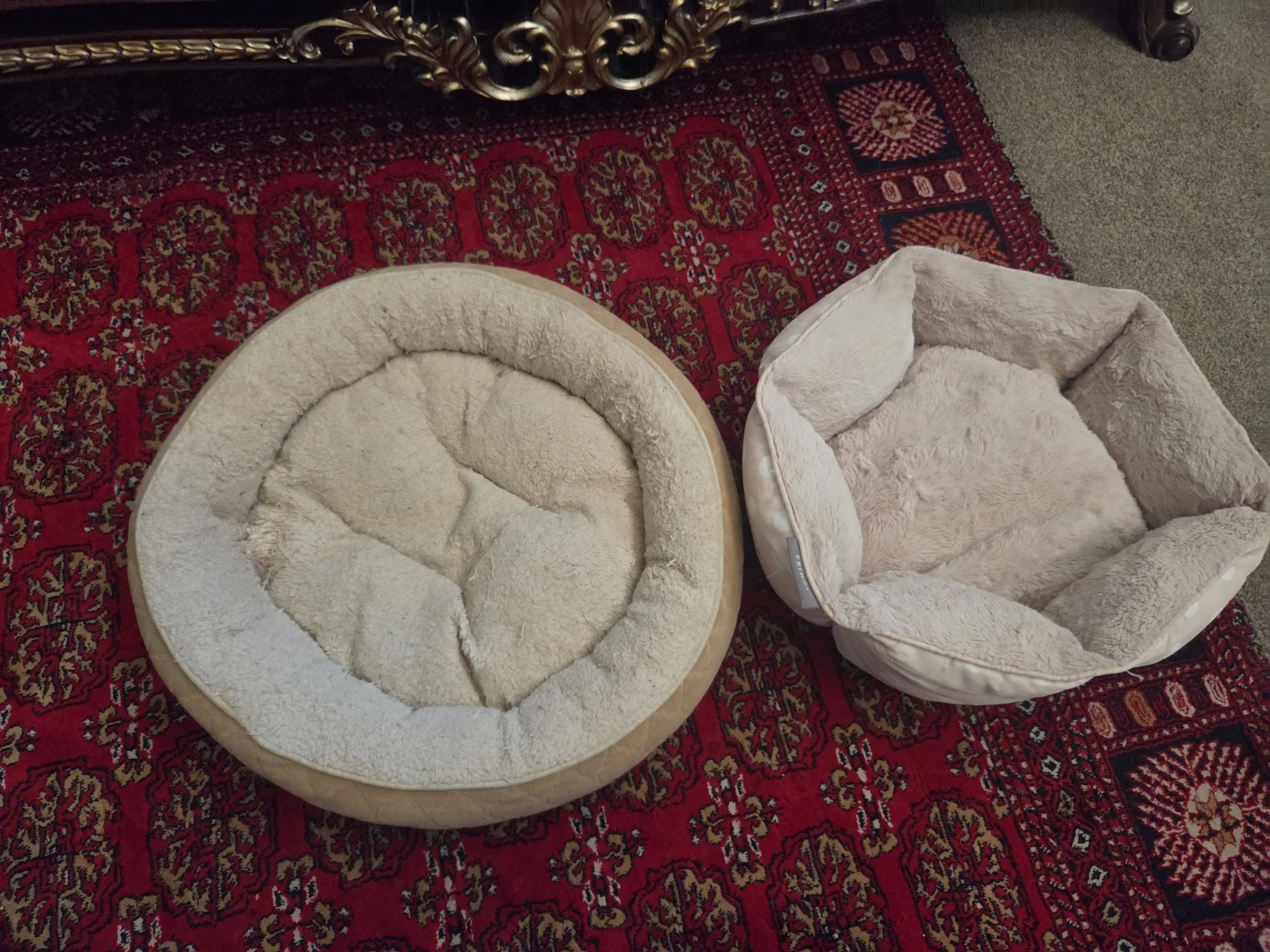 Two Cat Beds