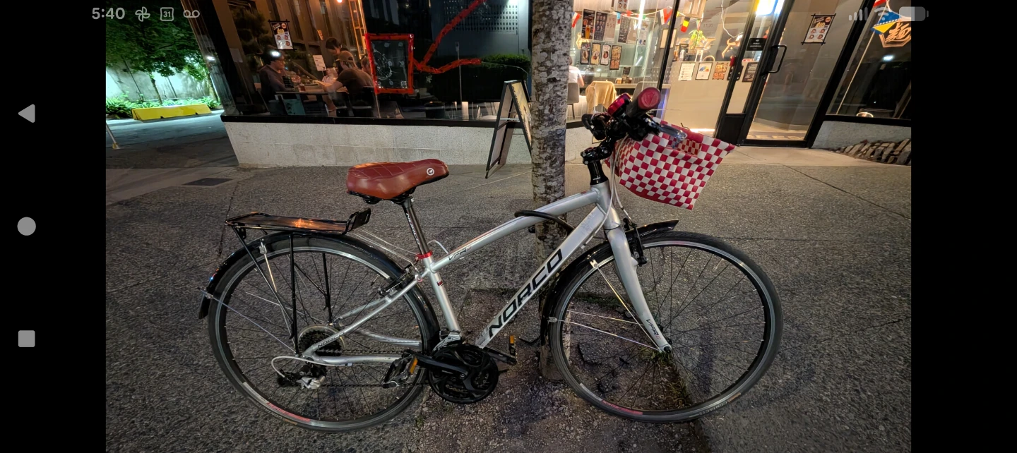 Bikes; tall Park Evo cruiser & smaller Norco road