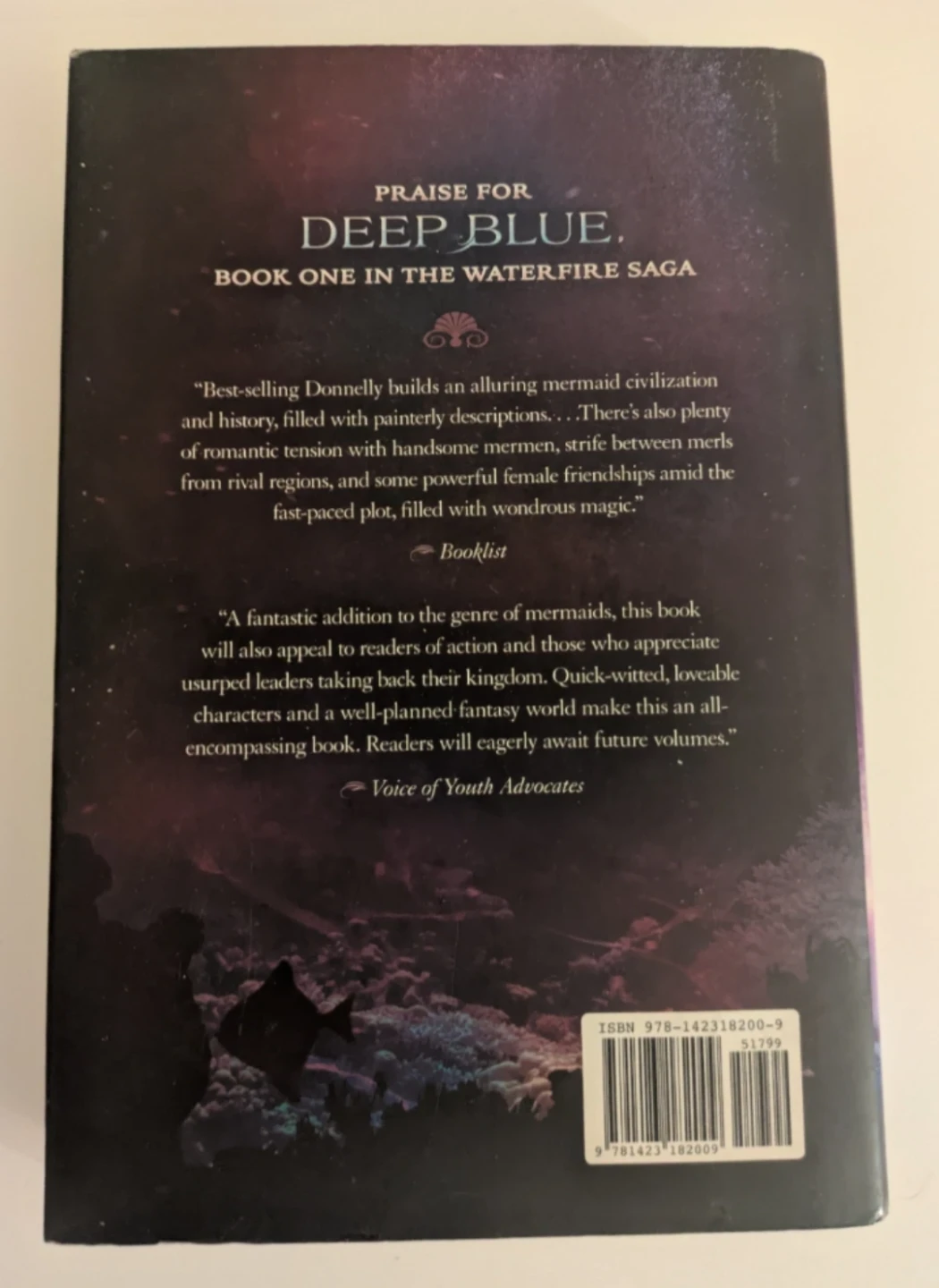 Rogue Wave by Jennifer Donnelly - Book Two - photo 2