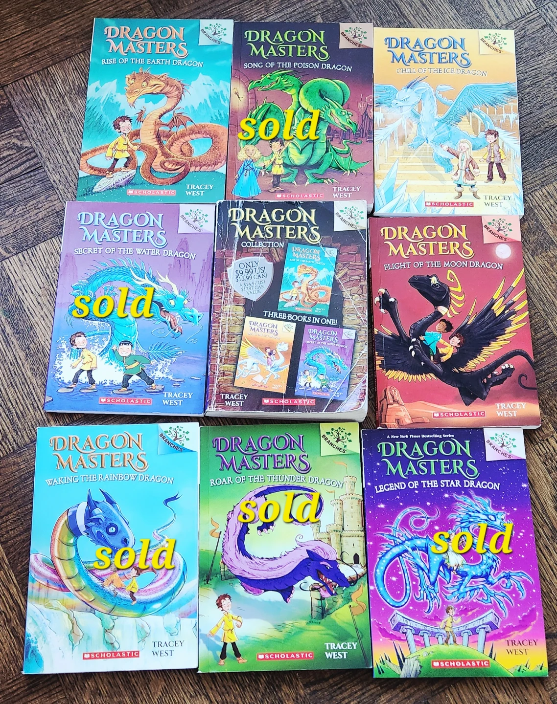 Dragon masters book set (4 books left )