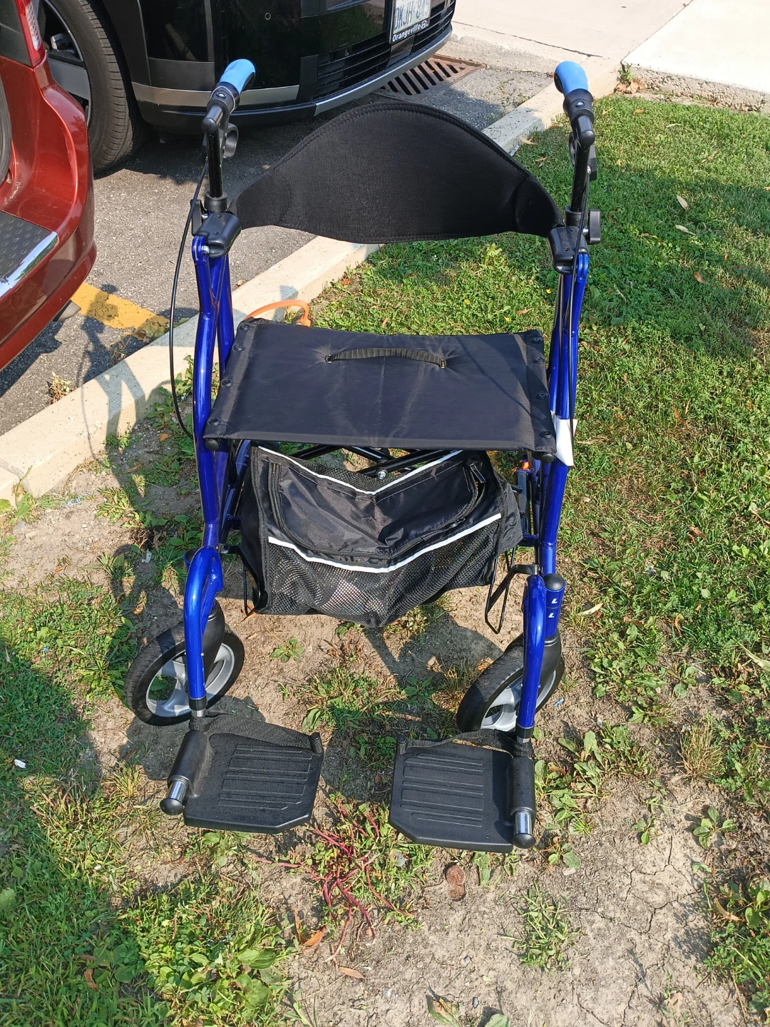 Blue Mobility Walker with Seat and Footrests - photo 3