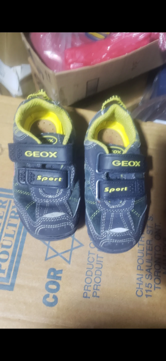 GEOX Sport Toddler Shoes