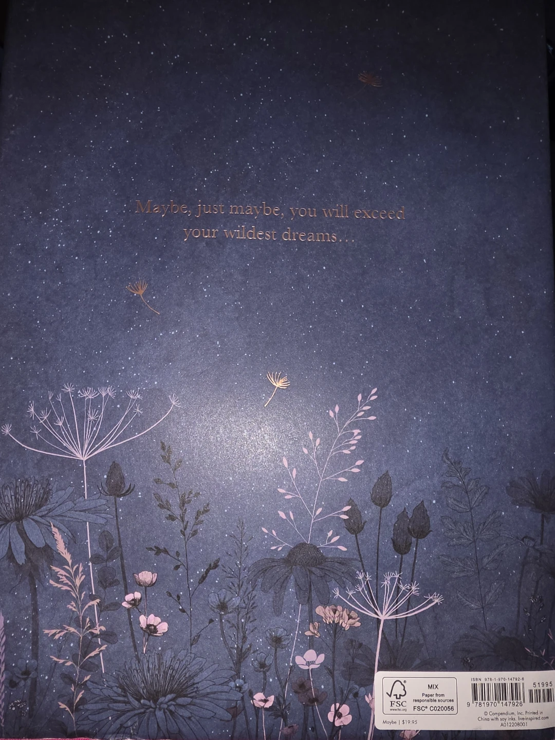 Maybe: A Story About the Endless Potential in All of Us Book - photo 2