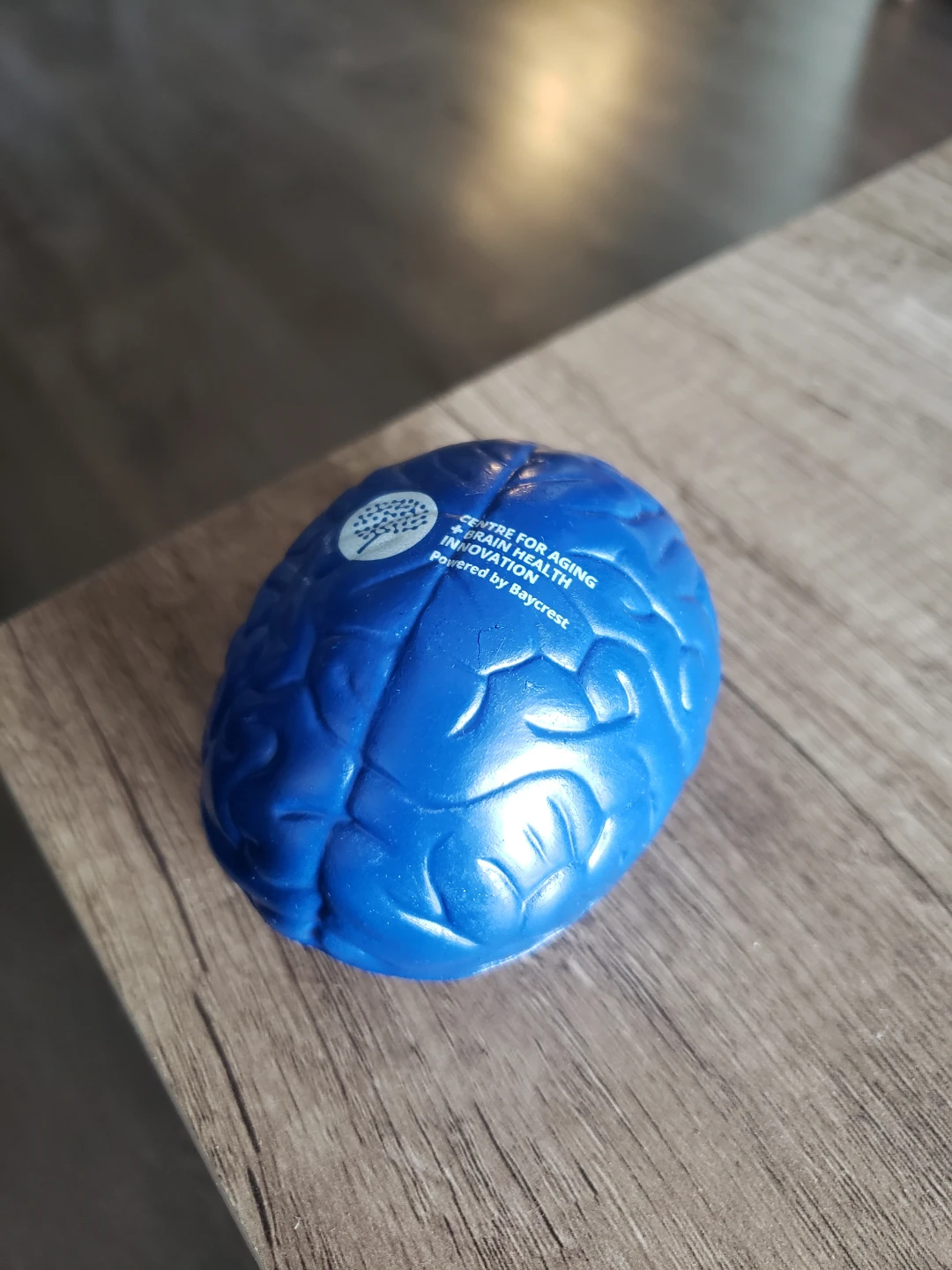 Brain Stress Ball