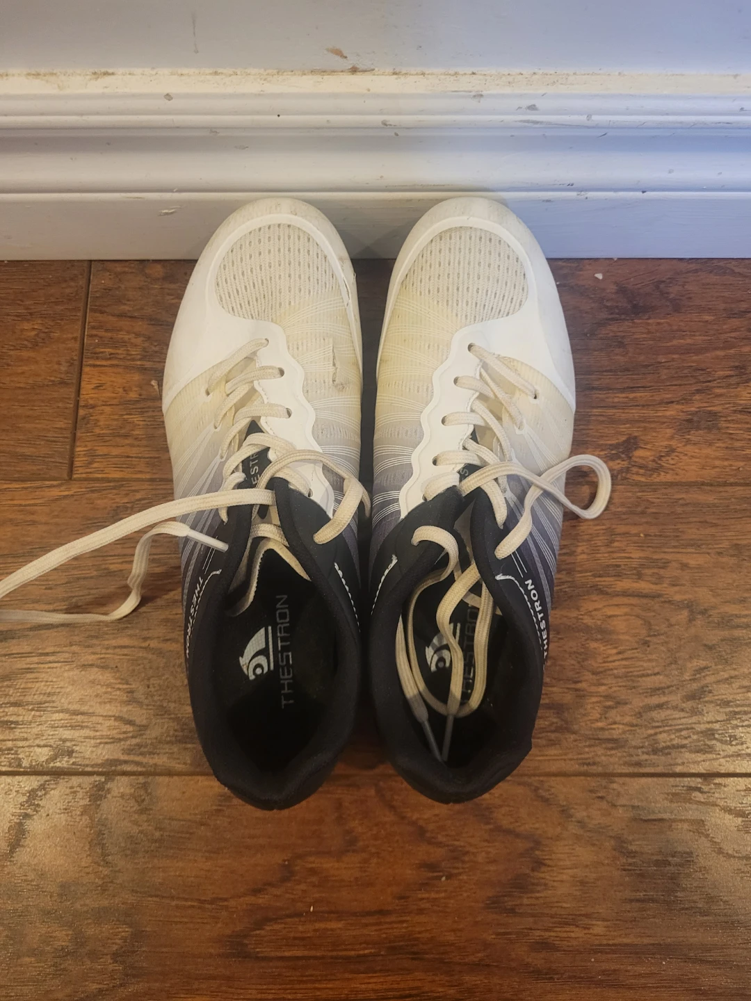 Thestron Track Spikes - photo 2