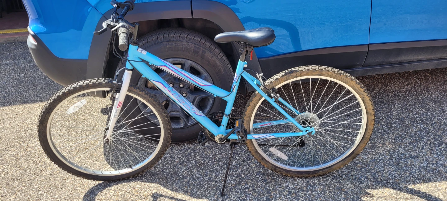 Blue Mountain Bike