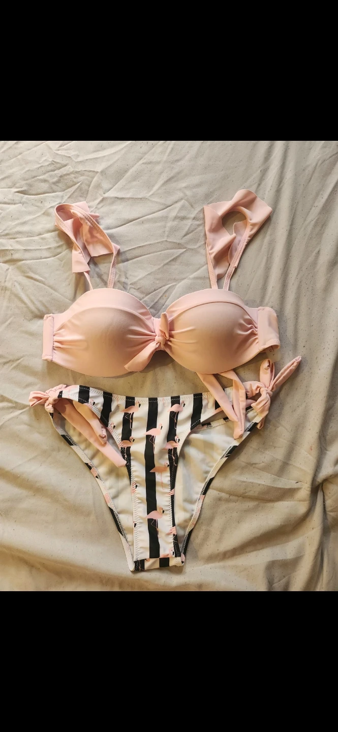 Pink and Flamingo Print Two Piece Bikini Set