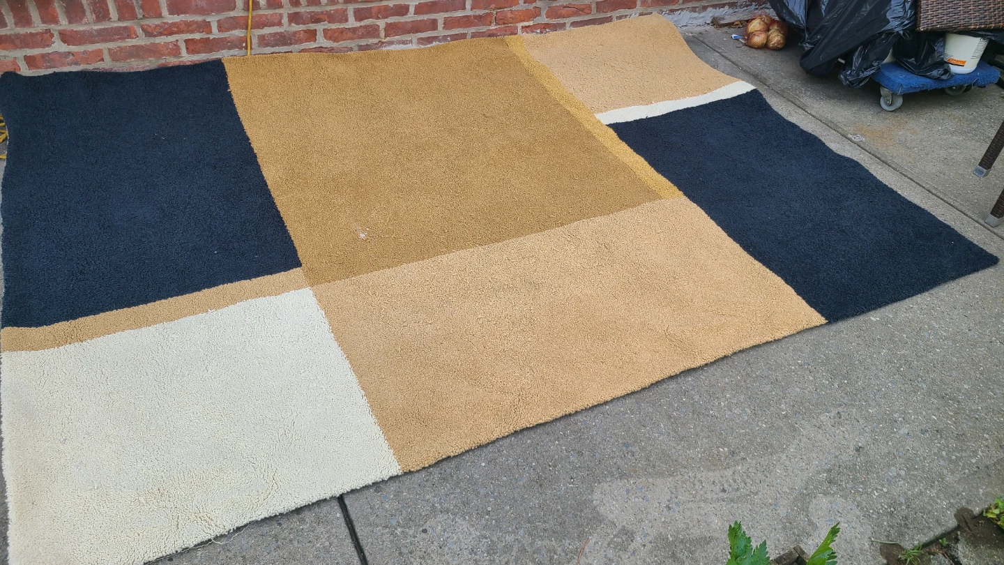 Geometric Pattern Area Rug