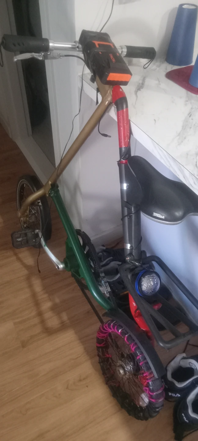 Custom bike - photo 2