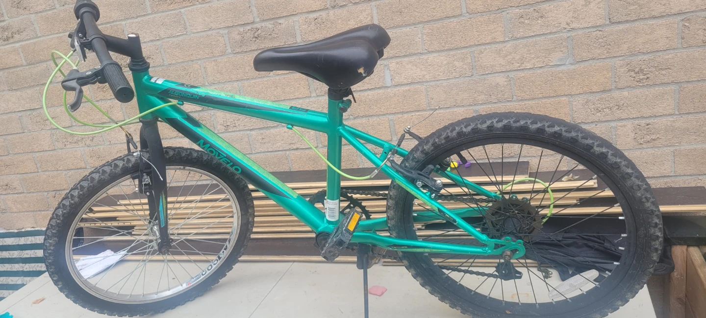 Movelo Algonquin Kids Bike