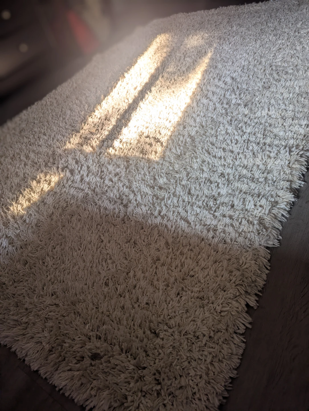 Cream Shaggy Rug