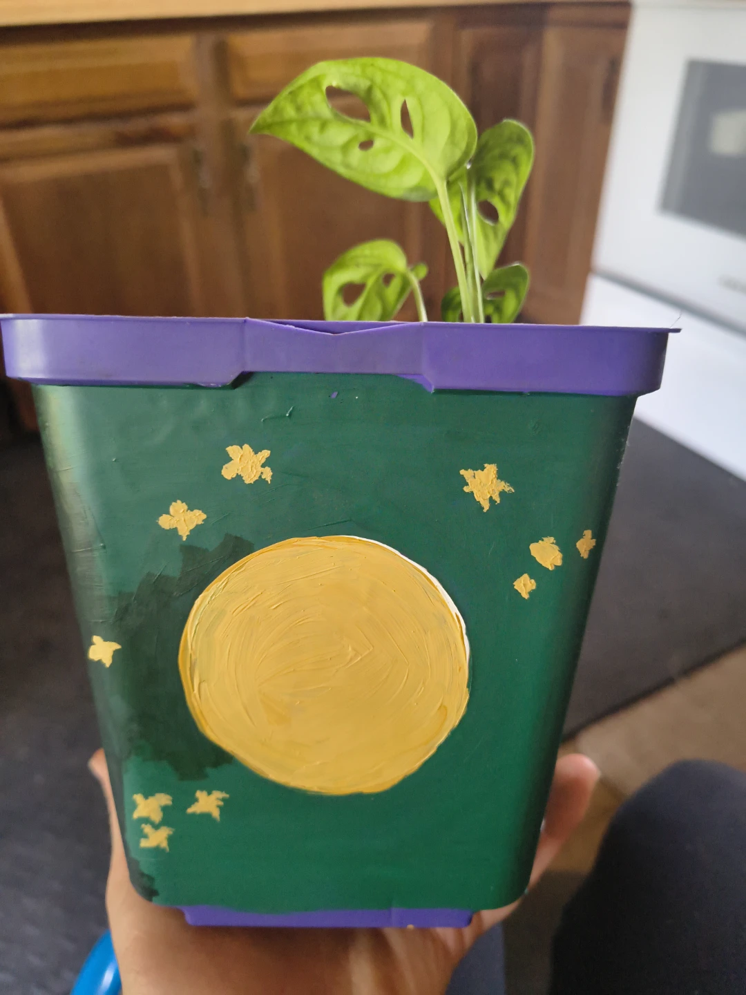 Small Monstera Plant in Hand-Painted Moon Cycles Pot - photo 2