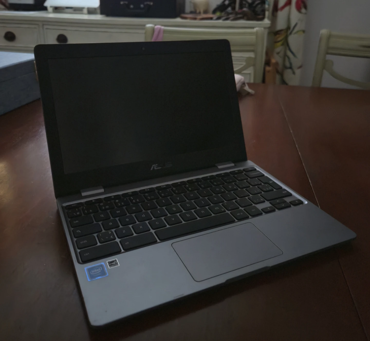 ASUS Chromebook C223N