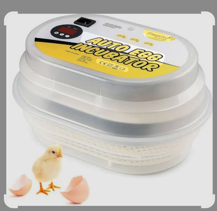 Magicfly Automatic Egg Incubator