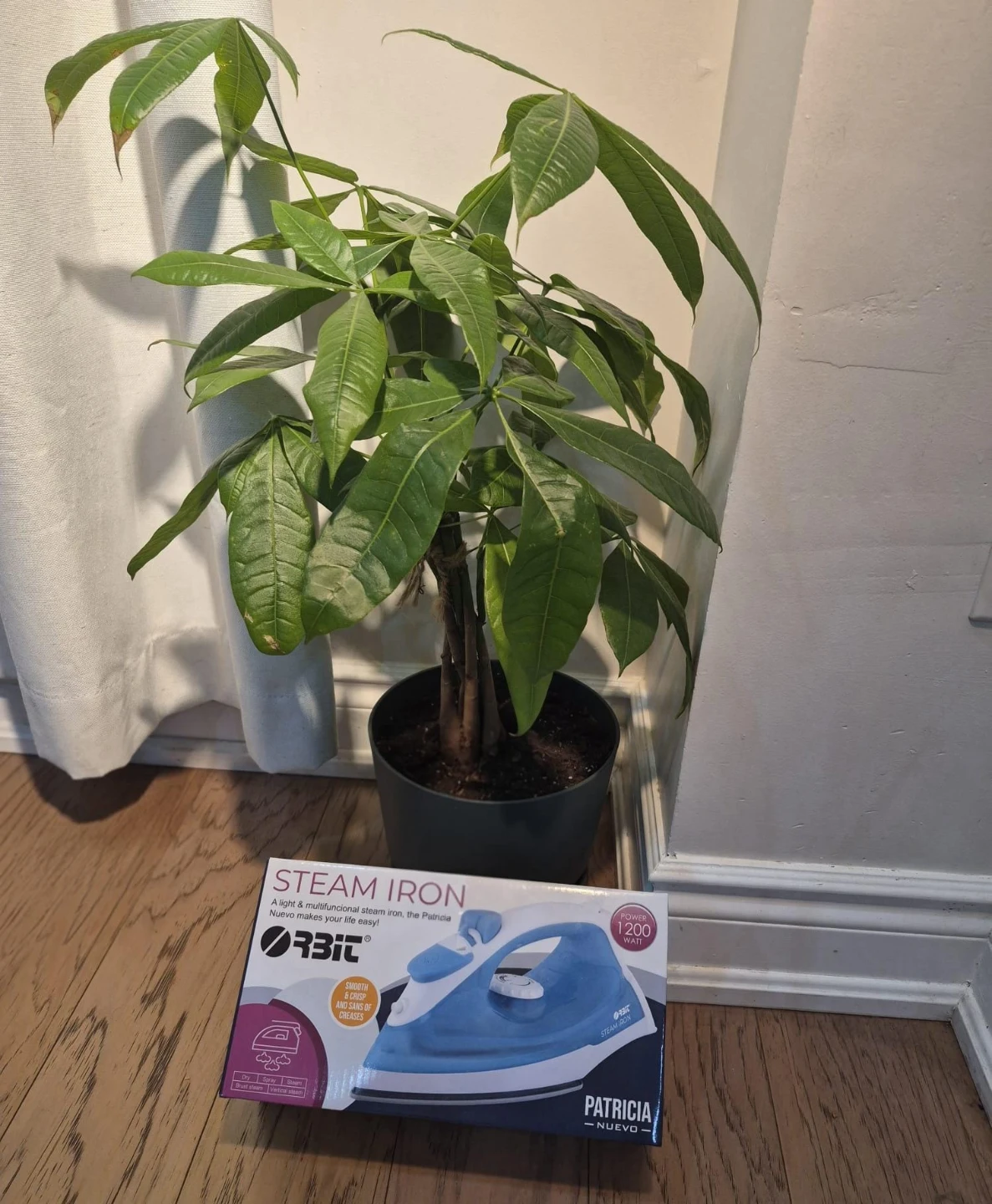 Orbit Patricia Nuevo Steam Iron