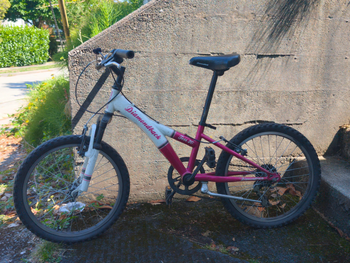 Diamondback Tess 20 Kids Bike