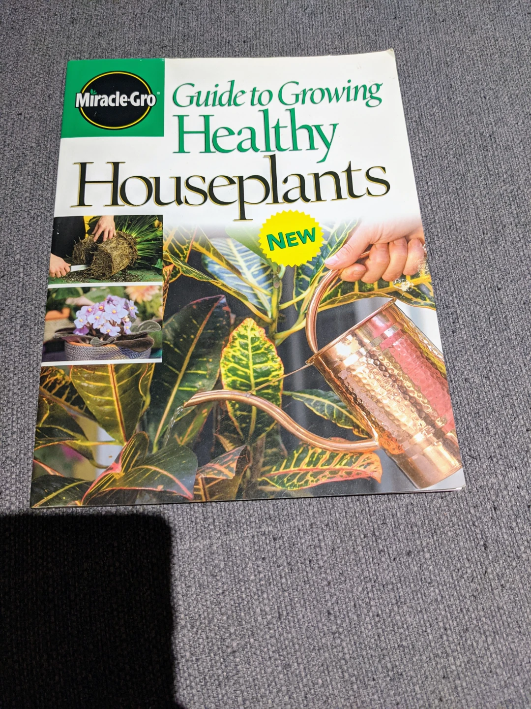 Miracle-Gro Guide to Growing Healthy Houseplants