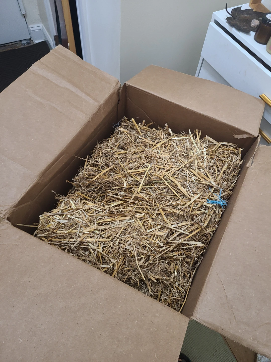 Straw Bale / box of Straw