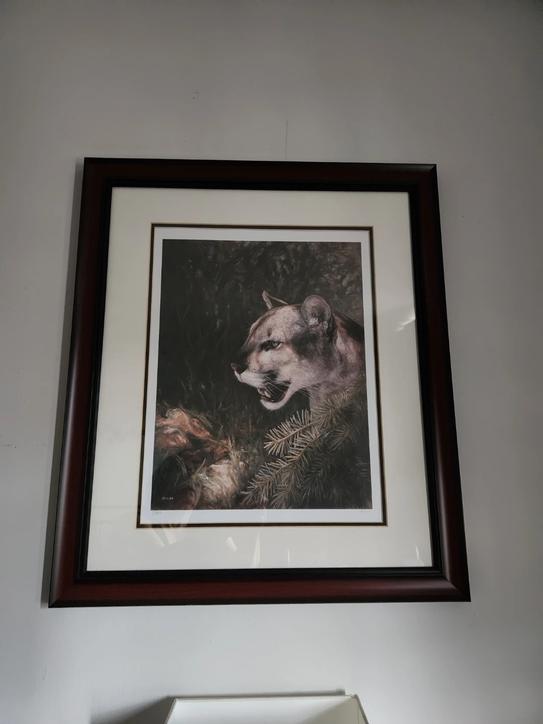 Milos Limited Edition Wildlife Prints