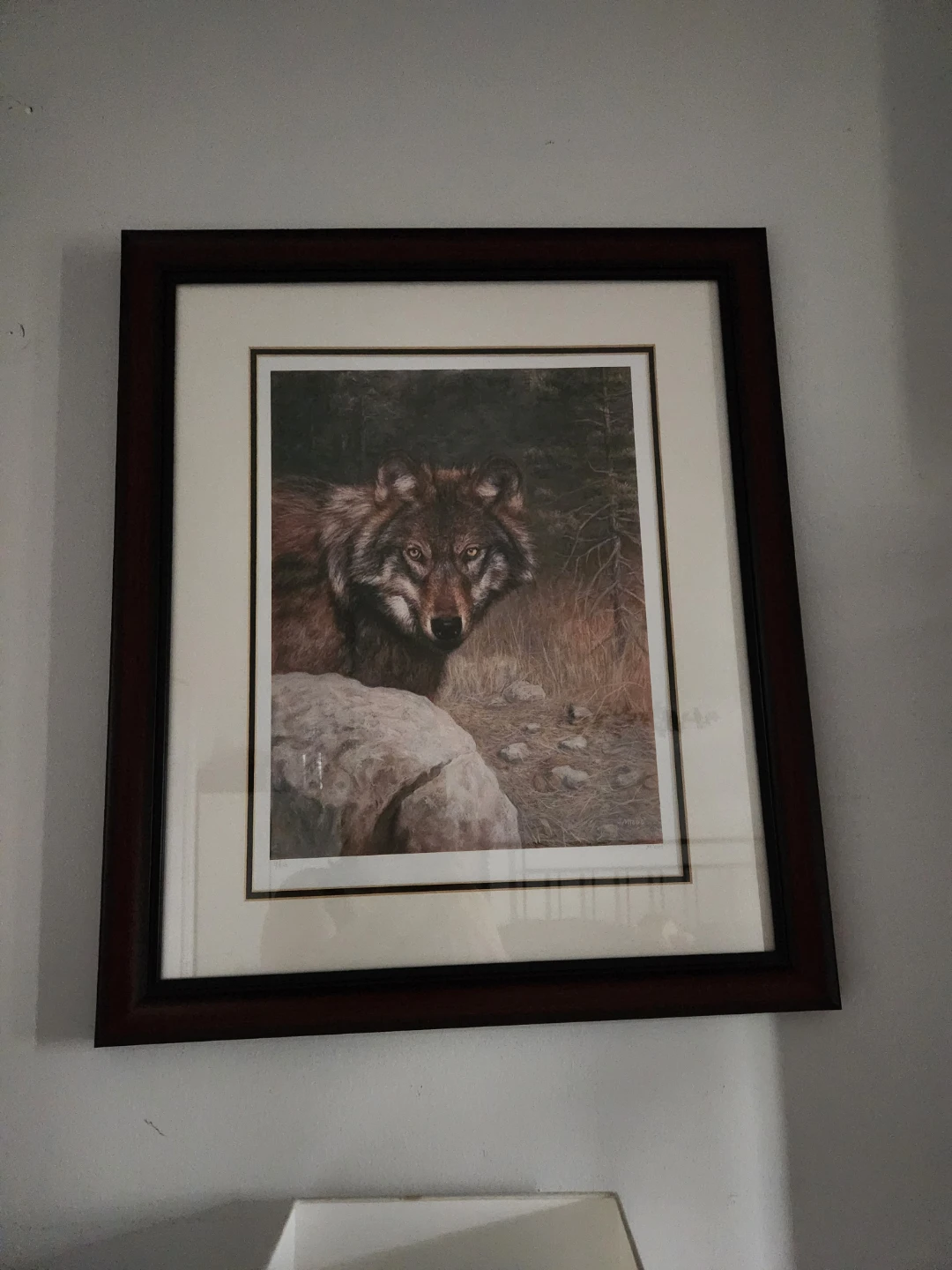 Milos Limited Edition Wildlife Prints - photo 2