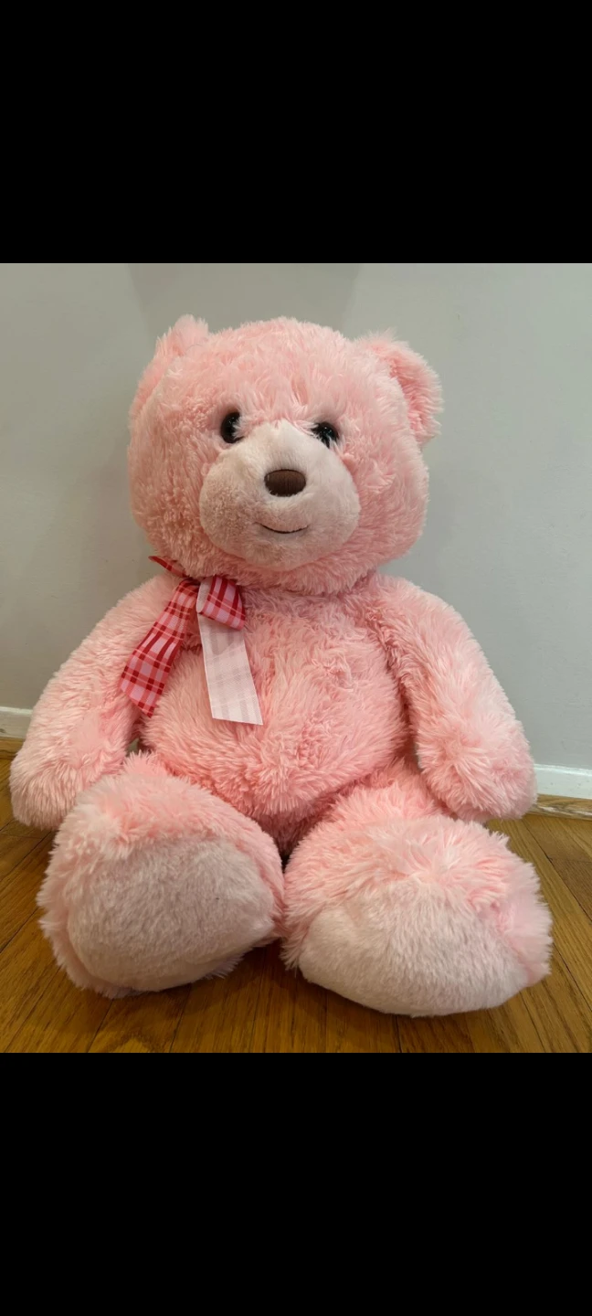 Pink Teddy Bear