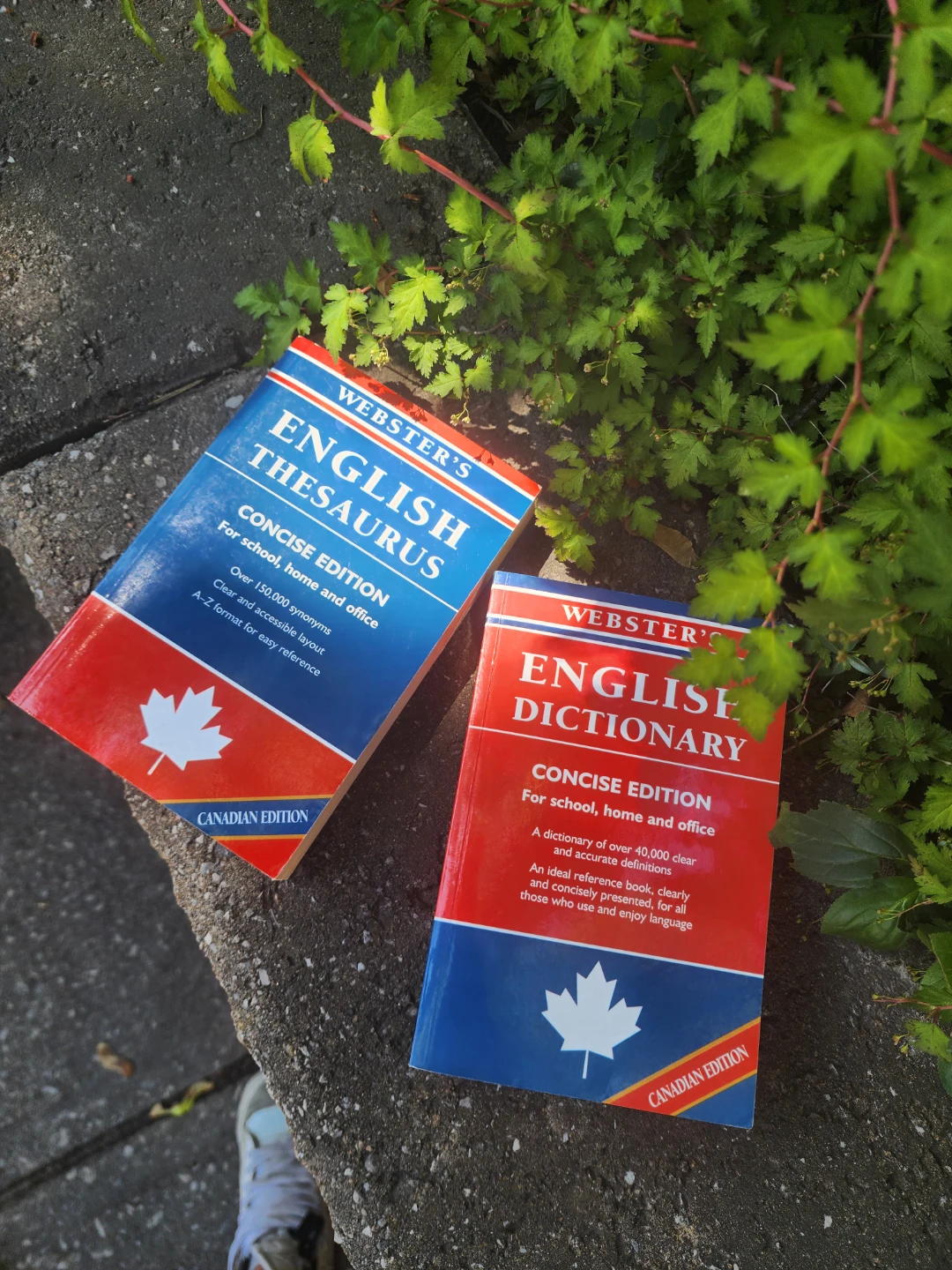 Webster's English Dictionary and Thesaurus Canadian Edition