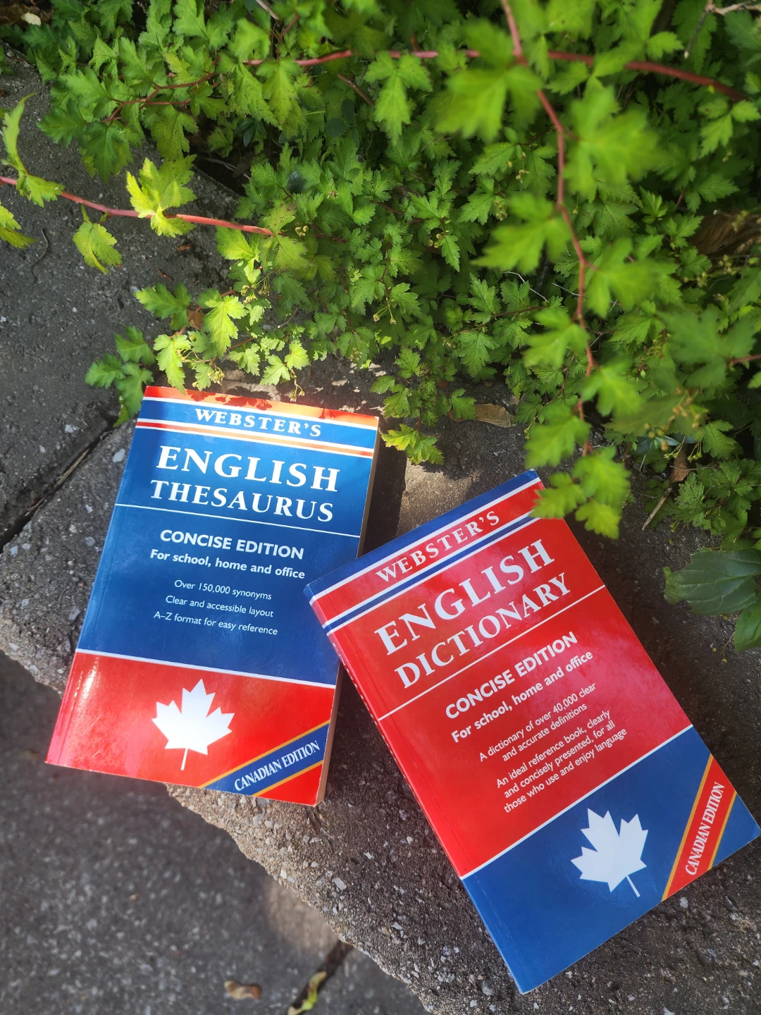 Webster's English Dictionary and Thesaurus Canadian Edition - photo 2
