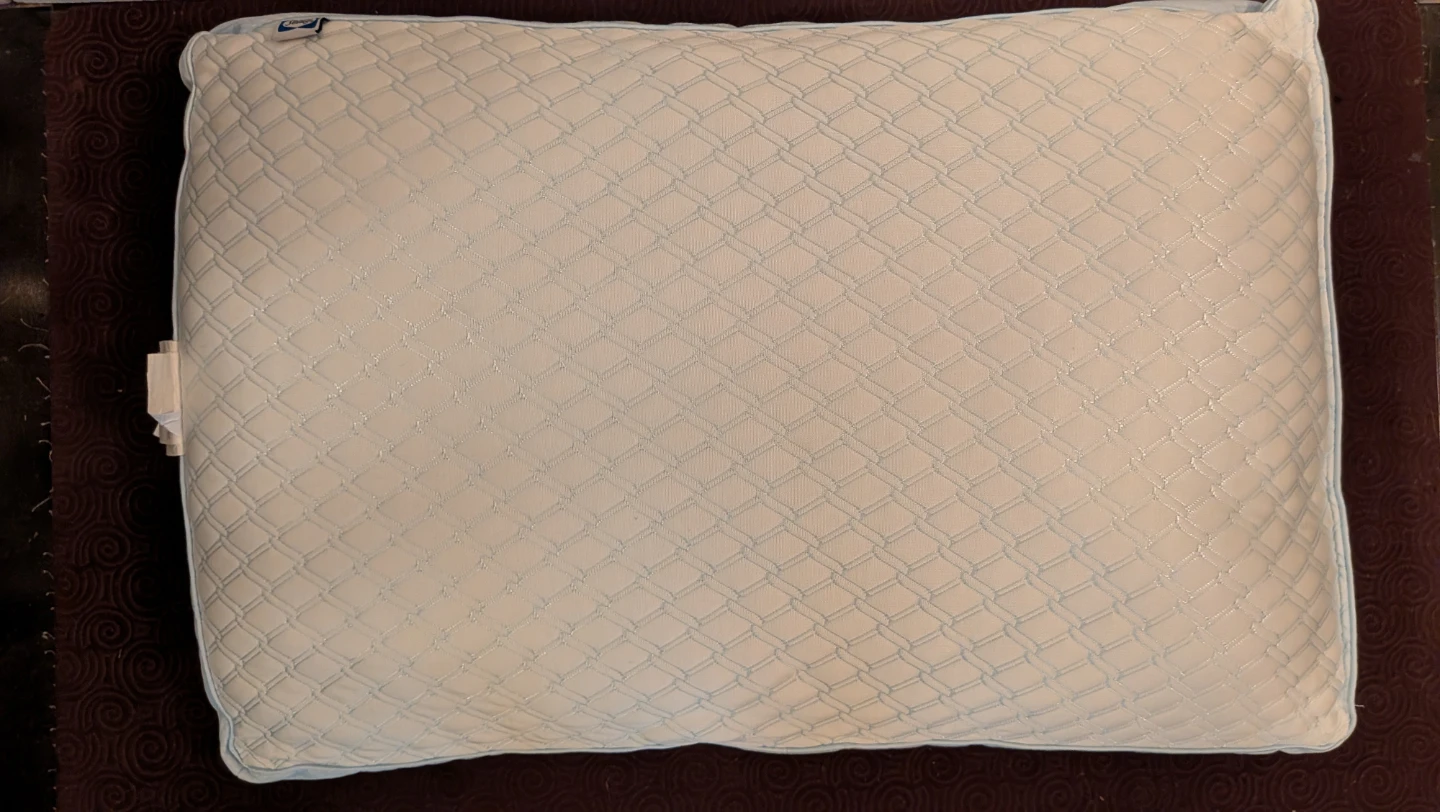 Sealy Pillow with sham - photo 2