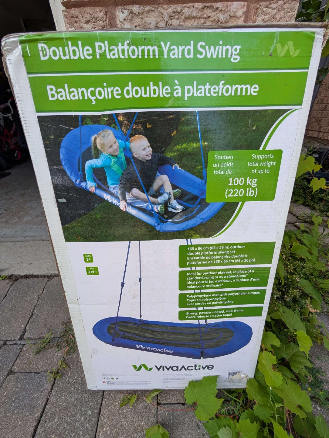 VivaActive Double Platform Yard Swing