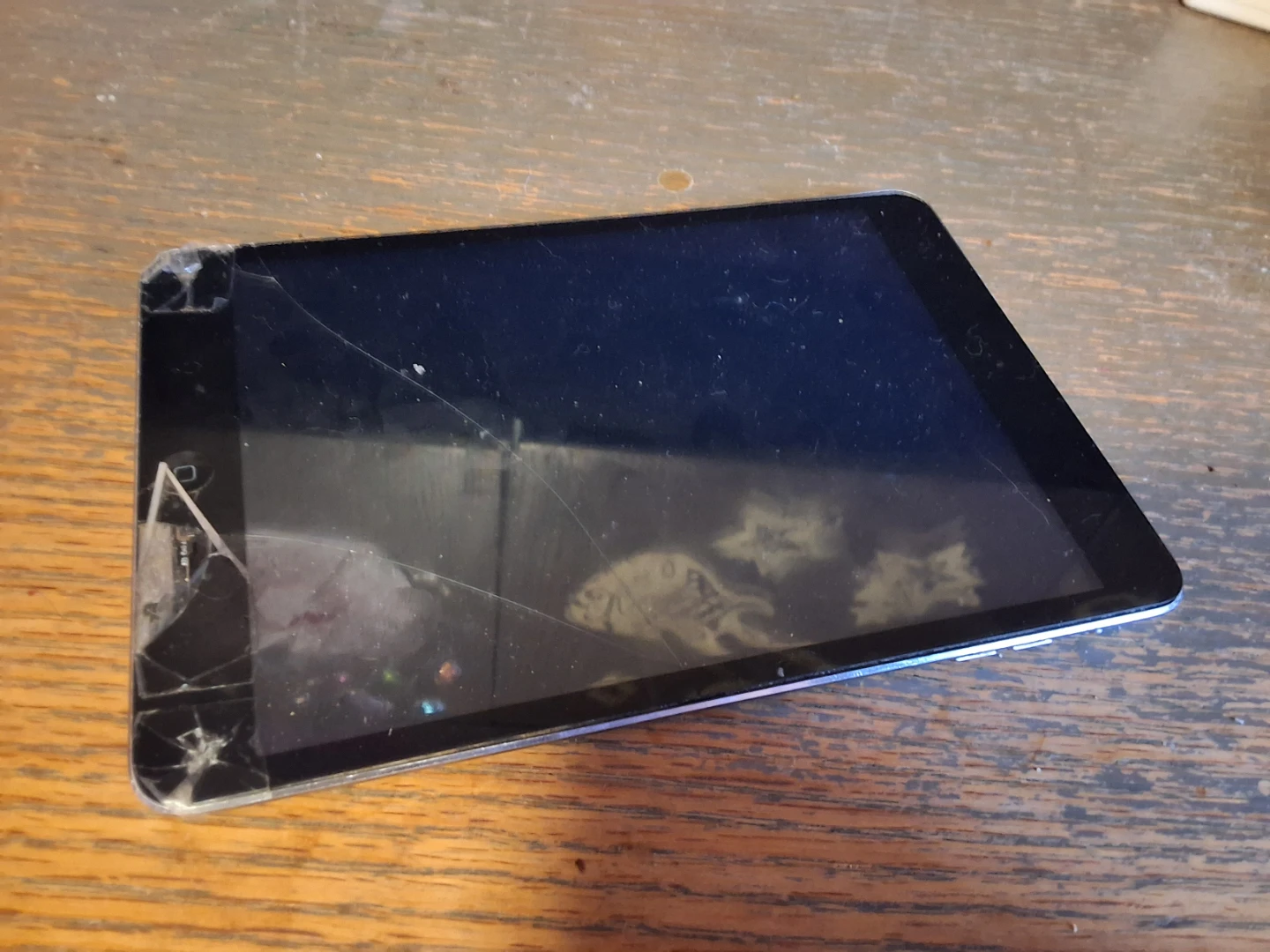 Apple iPad Mini with Cracked Screen