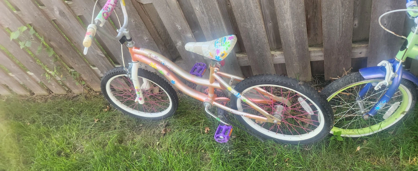 Bikes, Trike, Scooters - photo 4