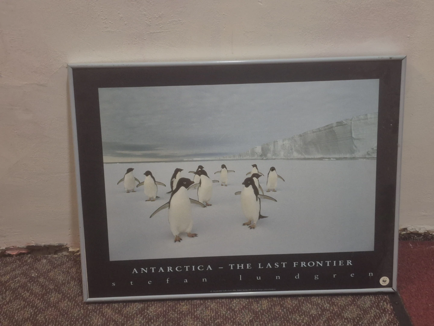 Antarctica - The Last Frontier Framed Print by Stefan Lundgren