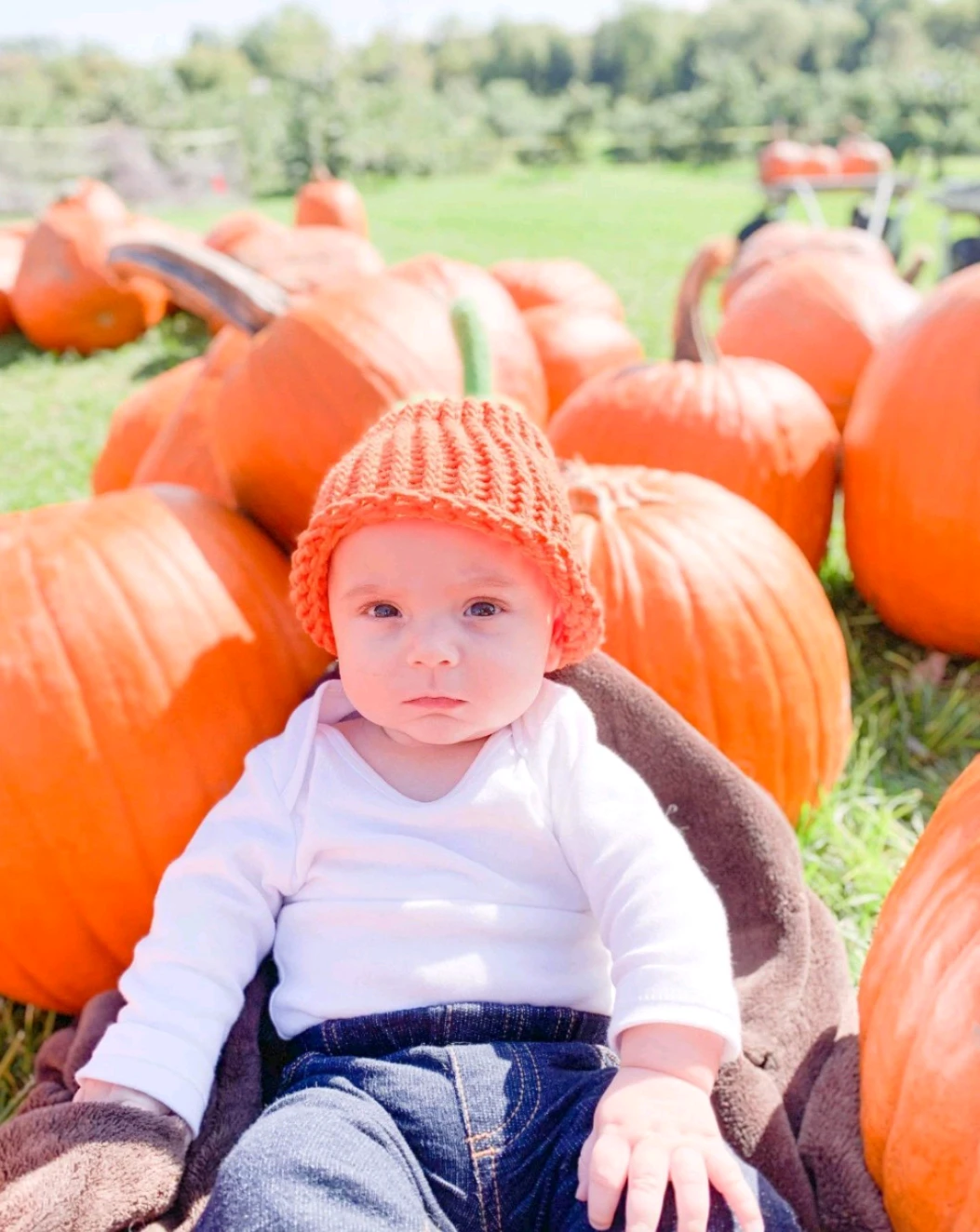 Pumpkin & Apple Hats are back!! - photo 4