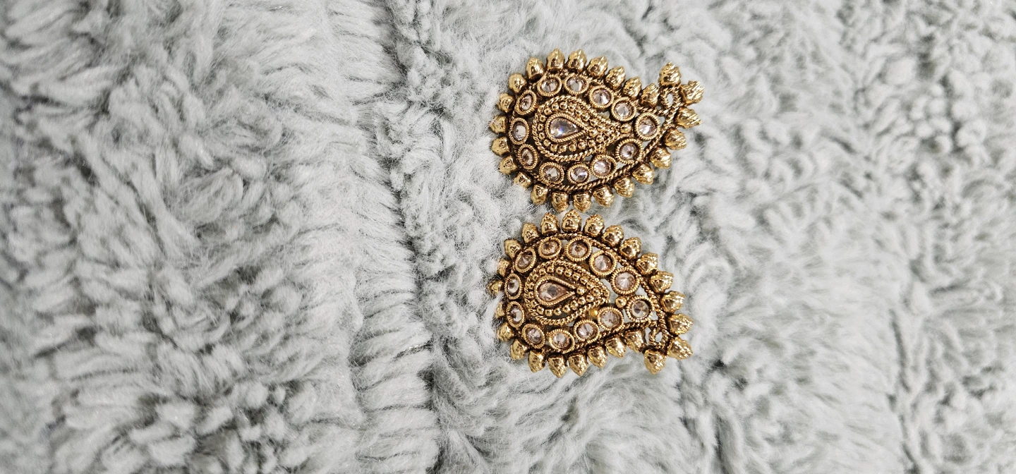 Paisley Design Earrings