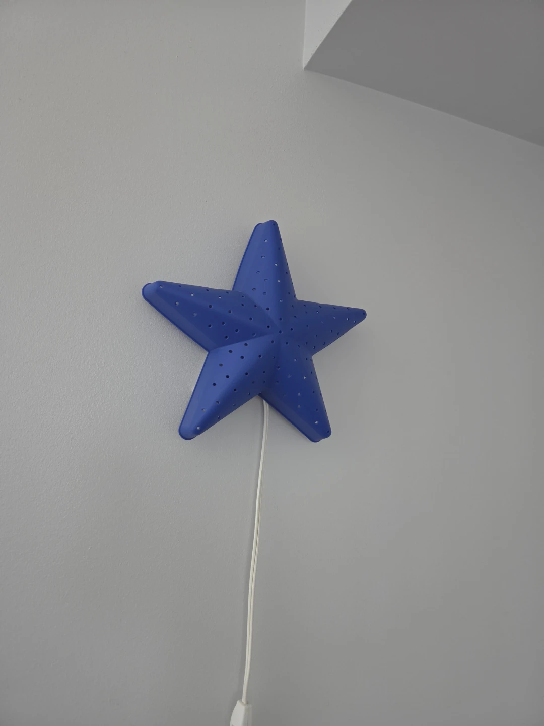 Blue Star Light - photo 3