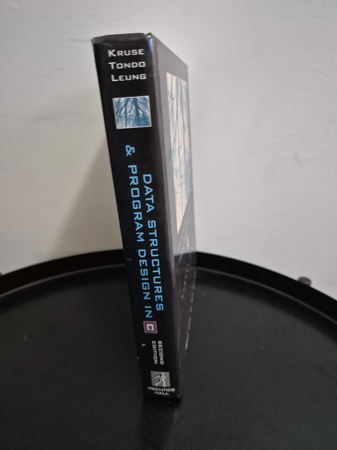 Data Structures & Program Design in C, 2nd Edition - photo 3