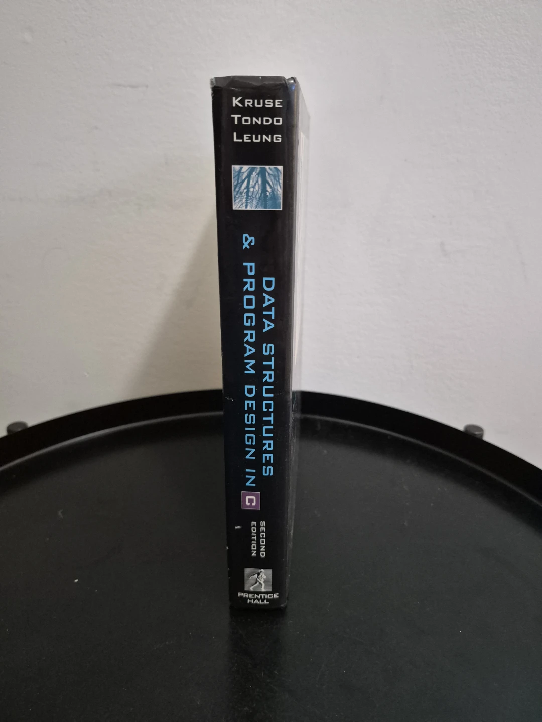 Data Structures & Program Design in C, 2nd Edition - photo 4