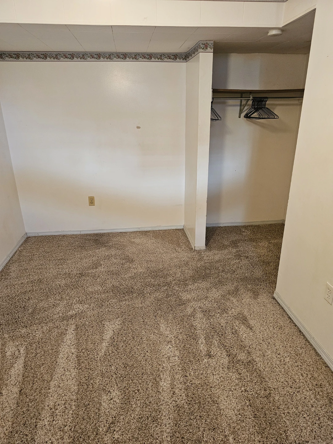 Available immediately BASEMENT SUITE ON MALVERN CLOSE  N.E - photo 4