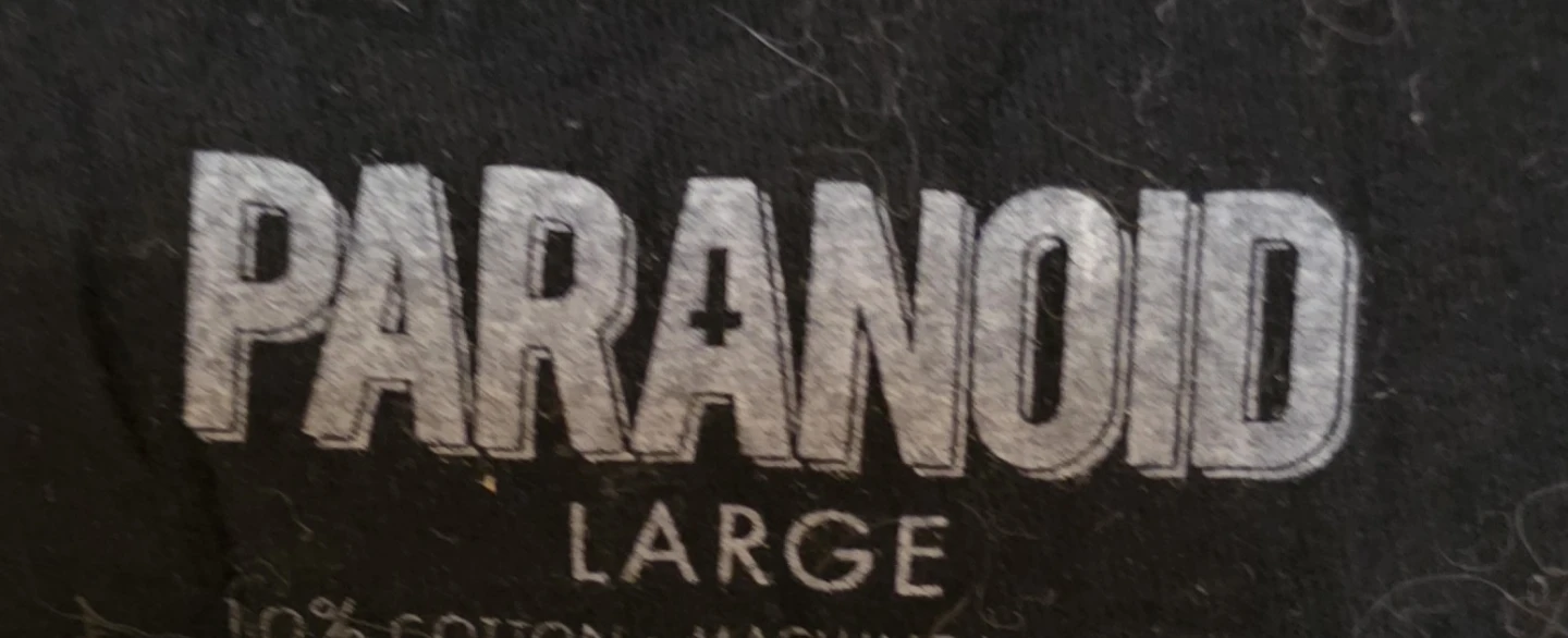 Paranoid "Fuck It" Skeleton Tank Top - photo 2