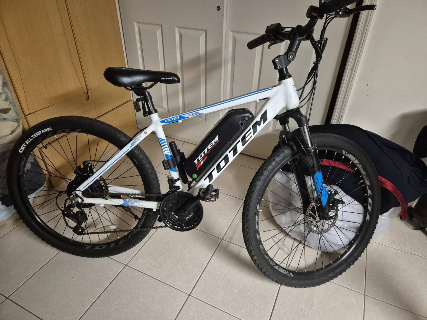 Totem Victor Electric Mountain Bike