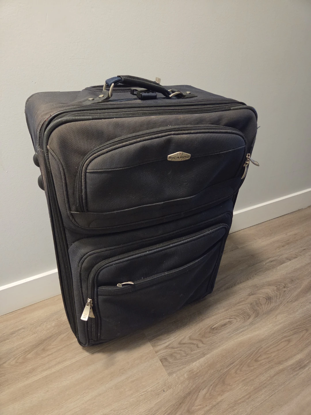 Ricardo Black Rolling Suitcase