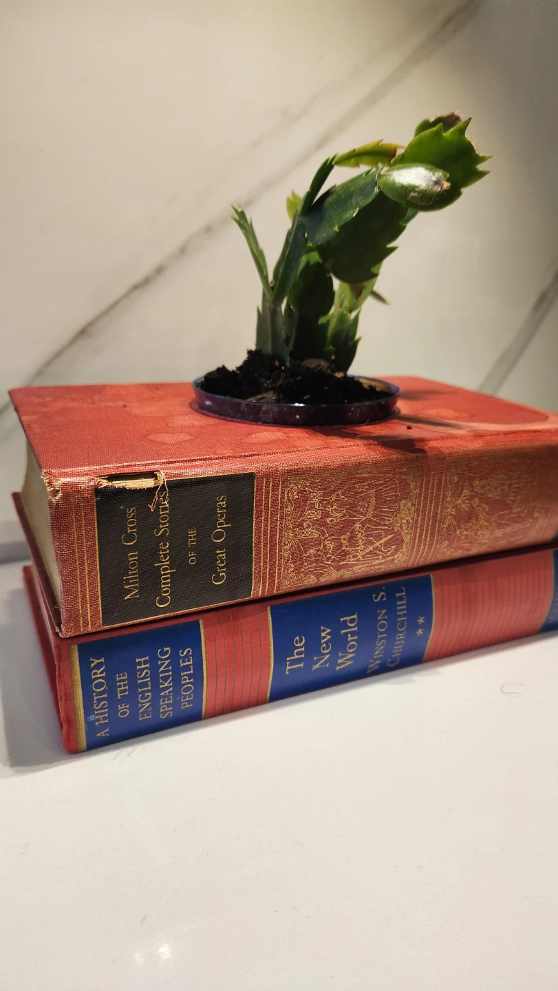 Vintage book planter with plants - photo 2