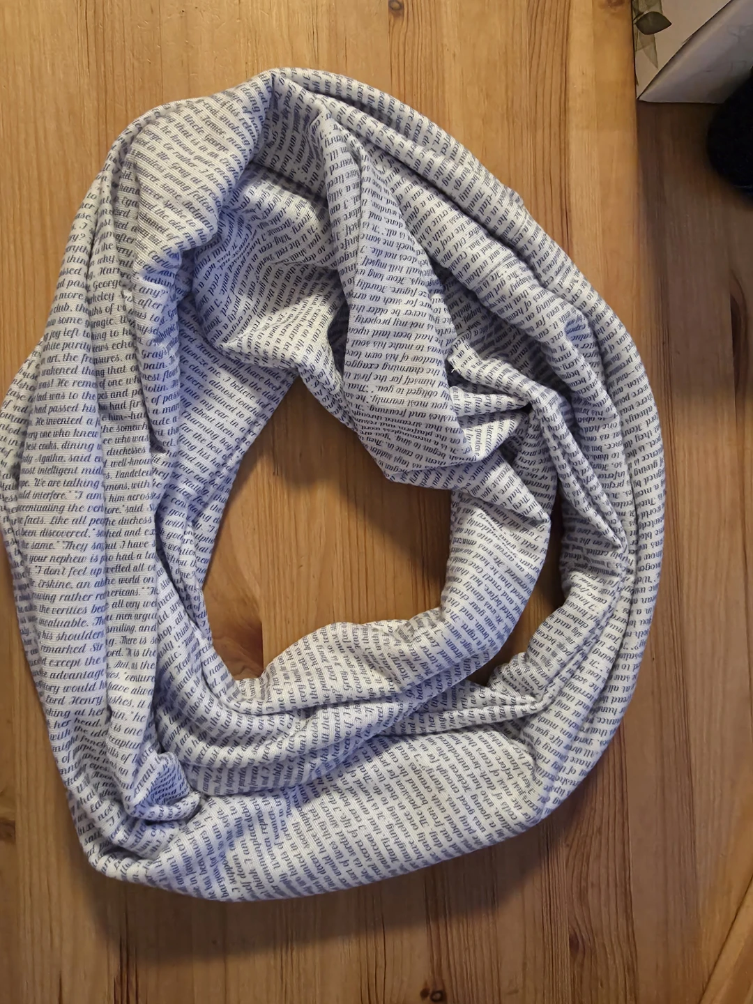 Infinity Scarf with 'Picture of Dorian Grey' text