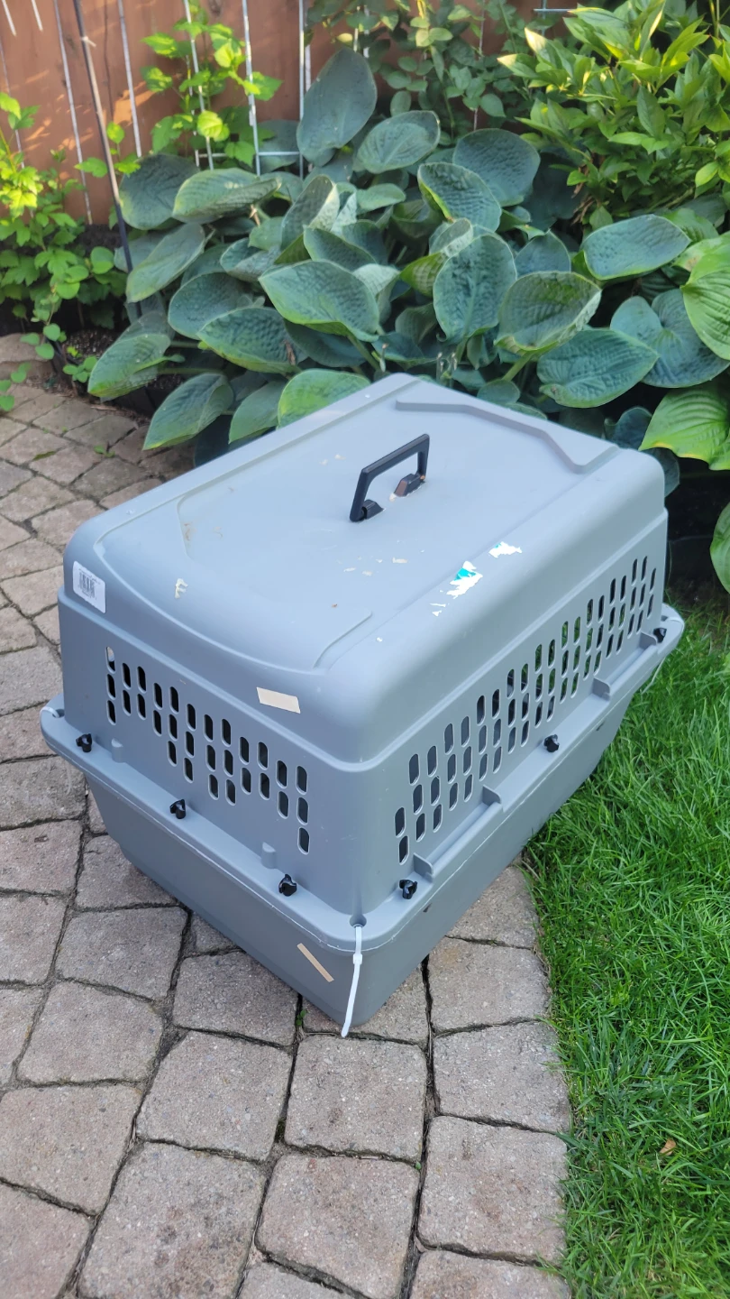 Pet travel Carrier in perfect condition - photo 2