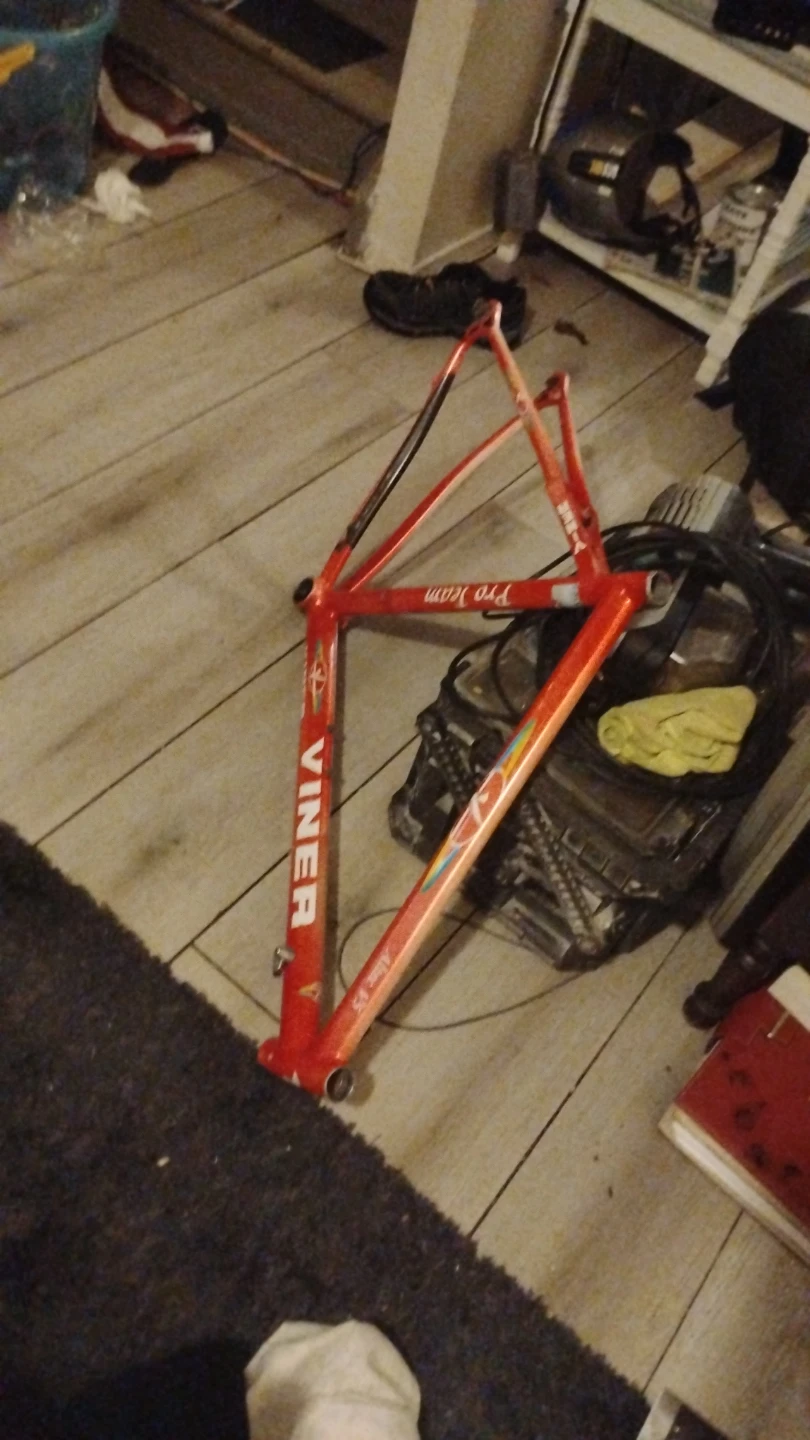 Viner Pro Team Road Bike Frame