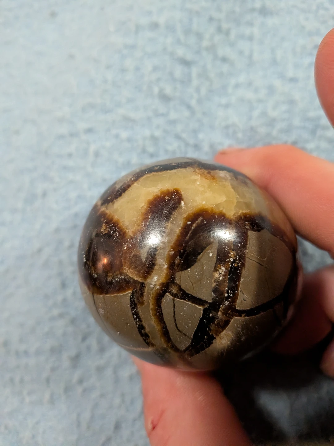 Polished Septarian Stone Egg.  300 grams. - photo 4