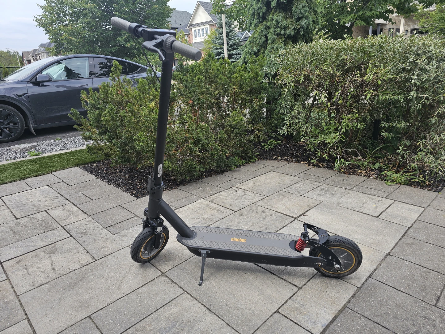 Segway Ninebot G30P Electric Scooter