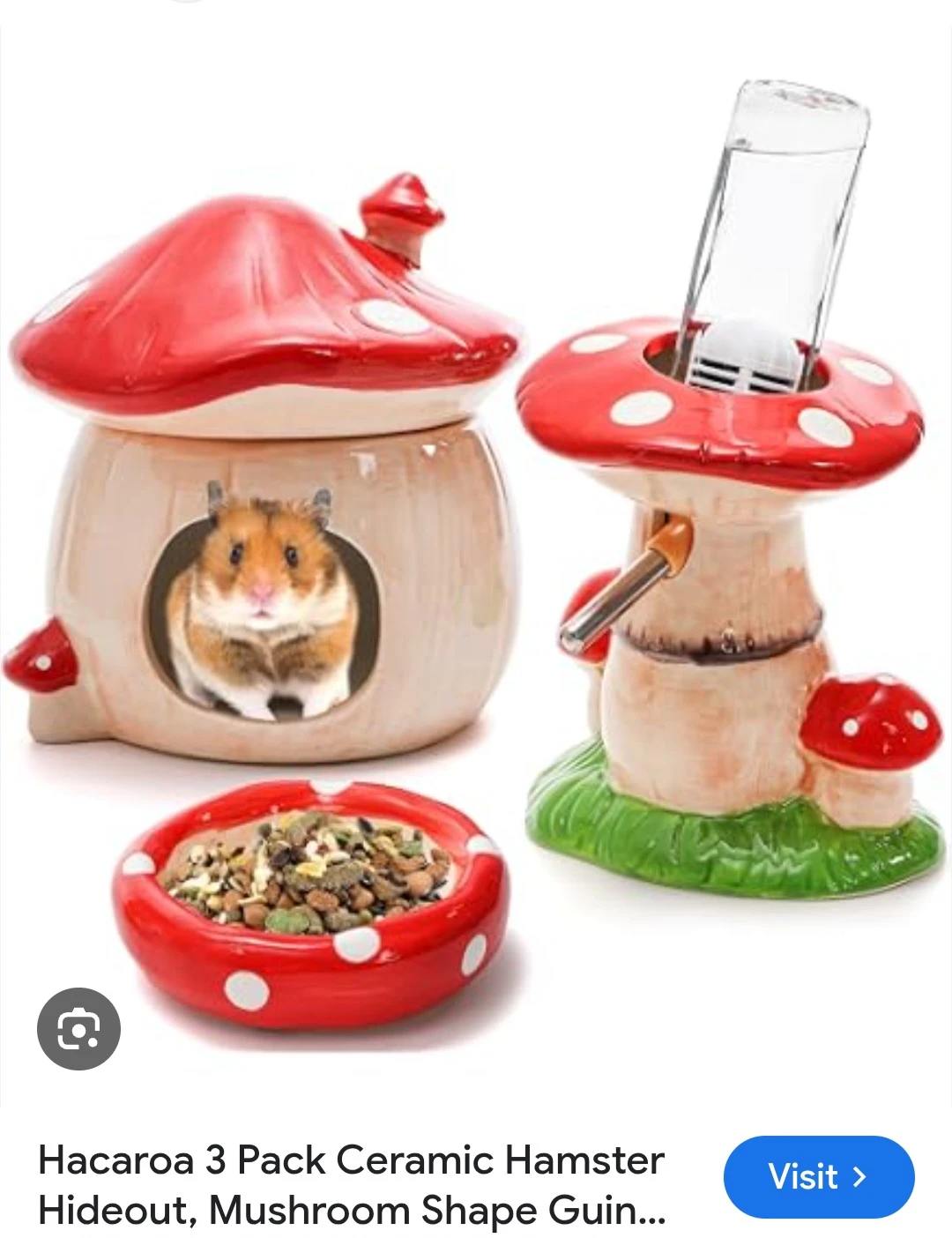 Ceramic Hamster Hideout Set